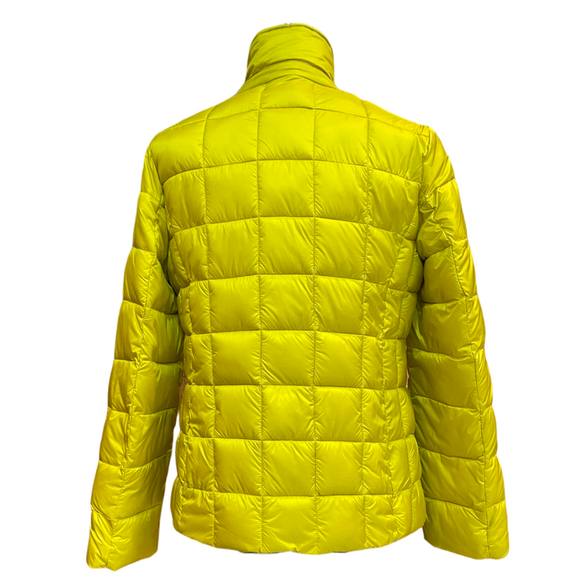 GIUBBINO DIANA GALLESI