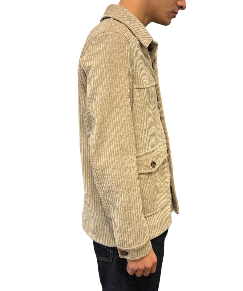 7683 TACCO - latte - 2