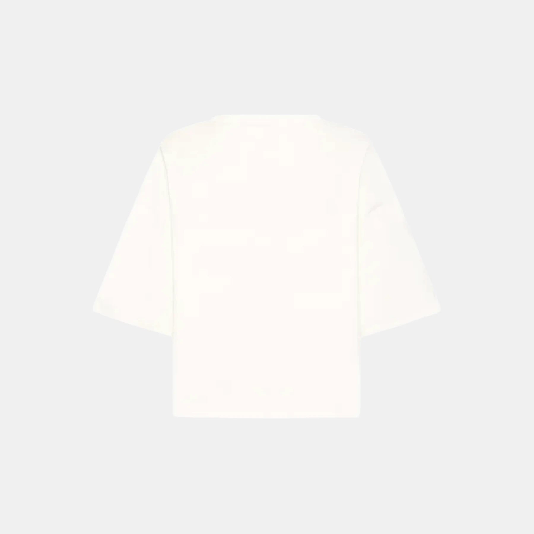 T-SHIRT IHPALMER EX LOOSE SS OVER FIT